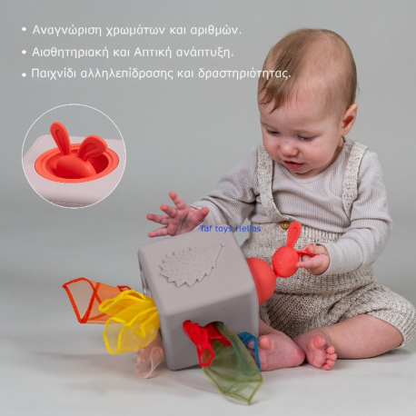 Κουτί με μαντηλάκια Taf Toys Pop Up Tissue Box