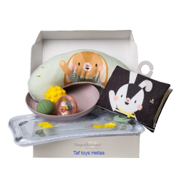 Σετ 7 παιχνίδια ανάπτυξης Taf Toys Tummy Time Essentials kit