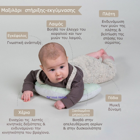 Σετ 7 παιχνίδια ανάπτυξης Taf Toys Tummy Time Essentials kit