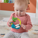 Παιχνίδι δραστηριοτήτων Ζωάκια Fisher-Price®