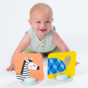 Κάρτες εκμάθησης Taf toys My 1st Tummy-Time Cards