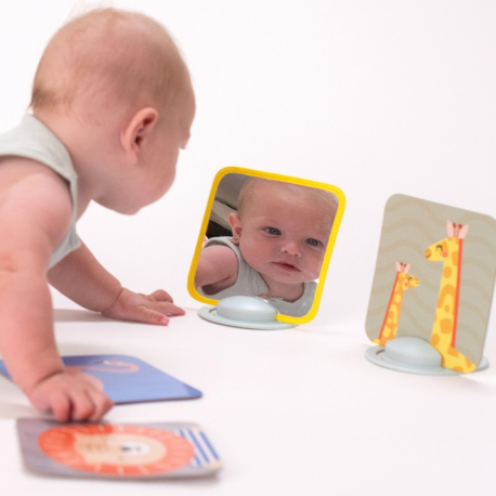 Κάρτες εκμάθησης Taf toys My 1st Tummy-Time Cards