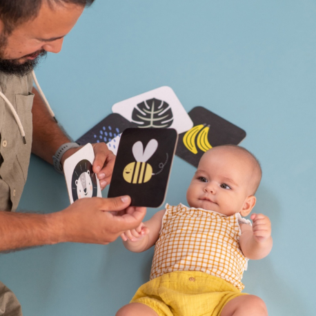 Κάρτες εκμάθησης Taf toys My 1st Tummy-Time Cards