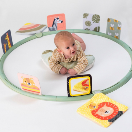 Κέντρο δραστηριοτήτων Taf Τoys Tummy-Time Trainer