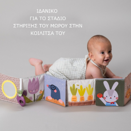 Μαλακό βιβλίο καροτσιού Taf Toys - Urban Garden