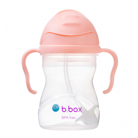 Εκπαιδευτικό κύπελλο B.box με καλαμάκι Sippy Cup Tutti Frutti 240ml