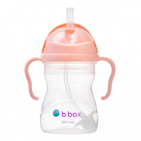 Εκπαιδευτικό κύπελλο B.box με καλαμάκι Sippy Cup Tutti Frutti 240ml