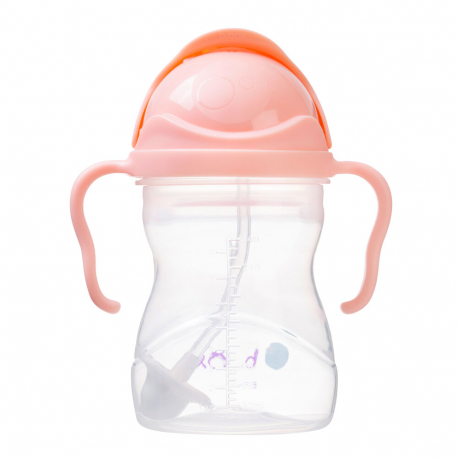 Εκπαιδευτικό κύπελλο B.box με καλαμάκι Sippy Cup Tutti Frutti 240ml