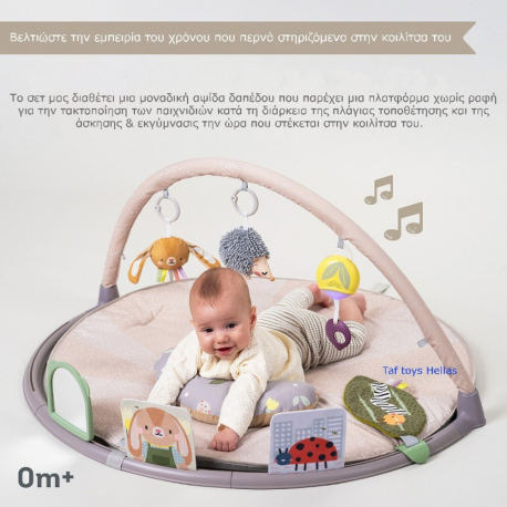 Βρεφικό γυμναστήριο Taf Τoys Tummy-time activity gym