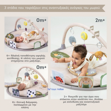 Βρεφικό γυμναστήριο Taf Τoys Tummy-time activity gym