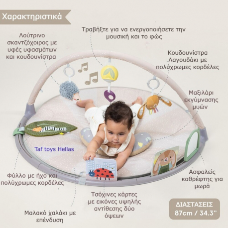 Βρεφικό γυμναστήριο Taf Τoys Tummy-time activity gym