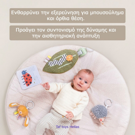 Βρεφικό γυμναστήριο Taf Τoys Tummy-time activity gym