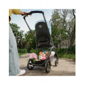 Καρότσι Bugaboo Dragonfly Complete Black/Forest Green